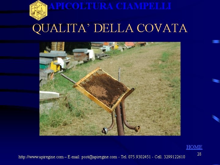 APICOLTURA CIAMPELLI QUALITA’ DELLA COVATA HOME http: //www. apiregine. com – E-mail: post@apiregine. com APICOLTURA CIAMPELLI QUALITA’ DELLA COVATA HOME http: //www. apiregine. com – E-mail: post@apiregine. com