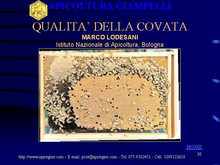 APICOLTURA CIAMPELLI QUALITA’ DELLA COVATA MARCO LODESANI Istituto Nazionale di Apicoltura, Bologna HOME http: APICOLTURA CIAMPELLI QUALITA’ DELLA COVATA MARCO LODESANI Istituto Nazionale di Apicoltura, Bologna HOME http: