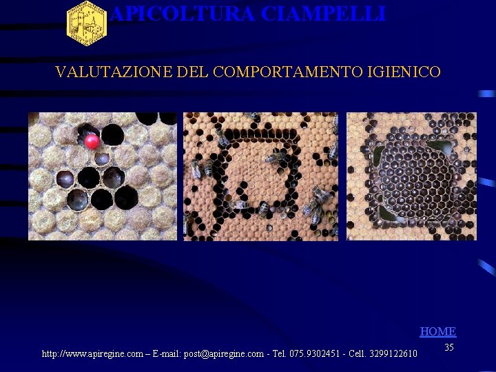 APICOLTURA CIAMPELLI VALUTAZIONE DEL COMPORTAMENTO IGIENICO HOME http: //www. apiregine. com – E-mail: post@apiregine. APICOLTURA CIAMPELLI VALUTAZIONE DEL COMPORTAMENTO IGIENICO HOME http: //www. apiregine. com – E-mail: post@apiregine.