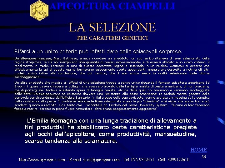 APICOLTURA CIAMPELLI LA SELEZIONE PER CARATTERI GENETICI Rifarsi a un unico criterio può infatti APICOLTURA CIAMPELLI LA SELEZIONE PER CARATTERI GENETICI Rifarsi a un unico criterio può infatti