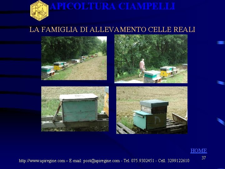 APICOLTURA CIAMPELLI LA FAMIGLIA DI ALLEVAMENTO CELLE REALI HOME http: //www. apiregine. com – APICOLTURA CIAMPELLI LA FAMIGLIA DI ALLEVAMENTO CELLE REALI HOME http: //www. apiregine. com –