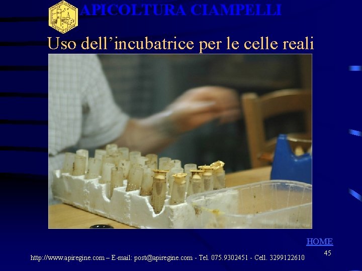 APICOLTURA CIAMPELLI Uso dell’incubatrice per le celle reali HOME http: //www. apiregine. com – APICOLTURA CIAMPELLI Uso dell’incubatrice per le celle reali HOME http: //www. apiregine. com –