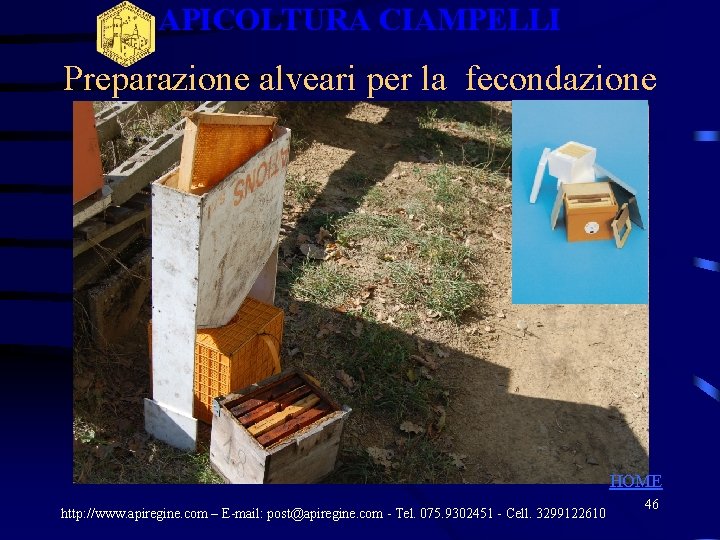 APICOLTURA CIAMPELLI Preparazione alveari per la fecondazione HOME http: //www. apiregine. com – E-mail: APICOLTURA CIAMPELLI Preparazione alveari per la fecondazione HOME http: //www. apiregine. com – E-mail: