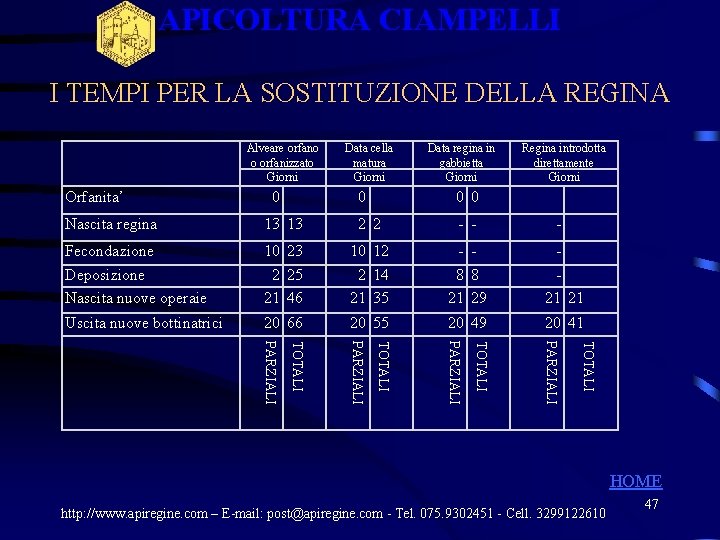 APICOLTURA CIAMPELLI I TEMPI PER LA SOSTITUZIONE DELLA REGINA Alveare orfano o orfanizzato Giorni APICOLTURA CIAMPELLI I TEMPI PER LA SOSTITUZIONE DELLA REGINA Alveare orfano o orfanizzato Giorni