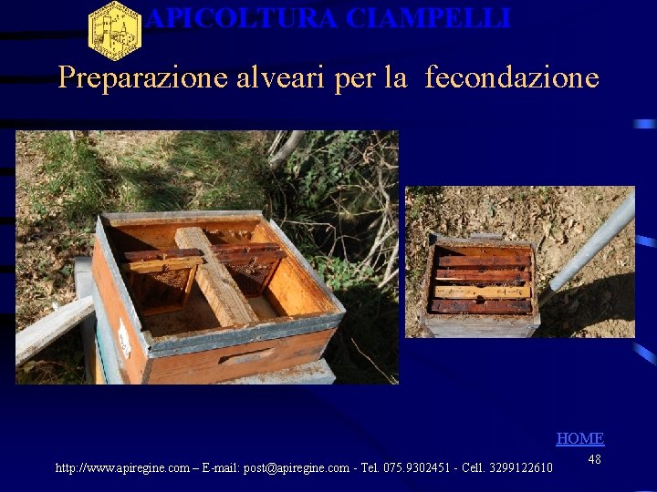 APICOLTURA CIAMPELLI Preparazione alveari per la fecondazione HOME http: //www. apiregine. com – E-mail: APICOLTURA CIAMPELLI Preparazione alveari per la fecondazione HOME http: //www. apiregine. com – E-mail: