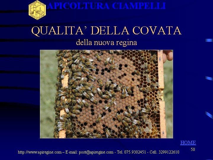 APICOLTURA CIAMPELLI QUALITA’ DELLA COVATA della nuova regina HOME http: //www. apiregine. com – APICOLTURA CIAMPELLI QUALITA’ DELLA COVATA della nuova regina HOME http: //www. apiregine. com –