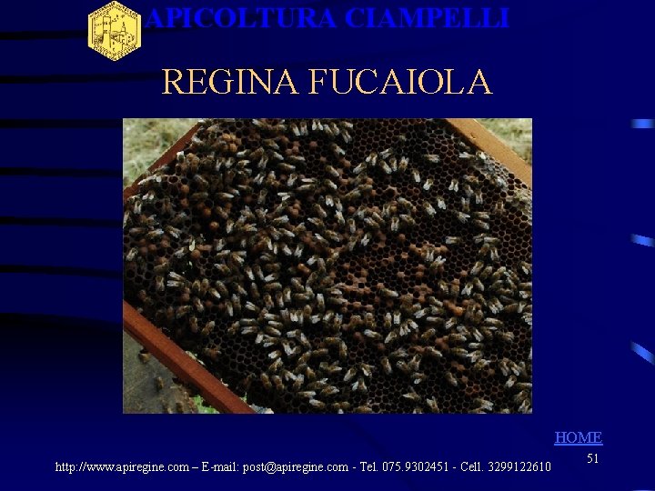 APICOLTURA CIAMPELLI REGINA FUCAIOLA HOME http: //www. apiregine. com – E-mail: post@apiregine. com - APICOLTURA CIAMPELLI REGINA FUCAIOLA HOME http: //www. apiregine. com – E-mail: post@apiregine. com -