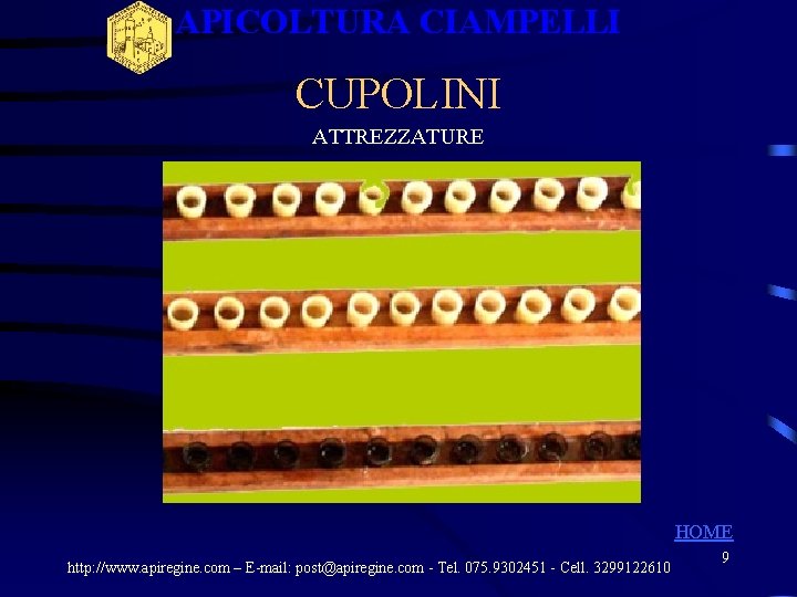 APICOLTURA CIAMPELLI CUPOLINI ATTREZZATURE HOME http: //www. apiregine. com – E-mail: post@apiregine. com - APICOLTURA CIAMPELLI CUPOLINI ATTREZZATURE HOME http: //www. apiregine. com – E-mail: post@apiregine. com -