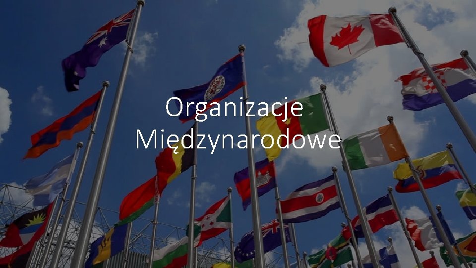 Organizacje Międzynarodowe 