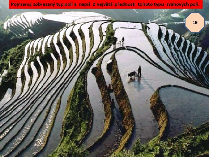 Pojmenuj zobrazený typ polí a napiš 2 největší přednosti tohoto typu svahových polí. 15