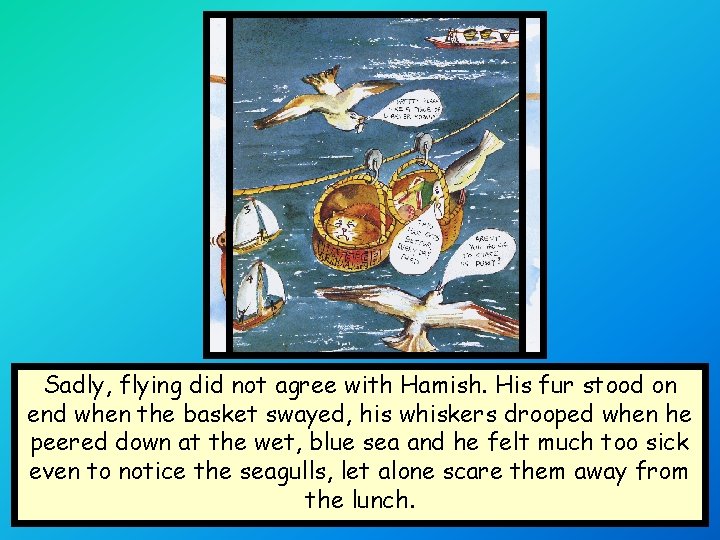 Sadly, flying did not agree with Hamish. His fur stood on end when the