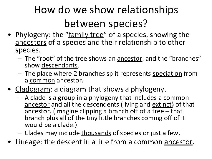 How do we show relationships between species? • Phylogeny: the “family tree” of a