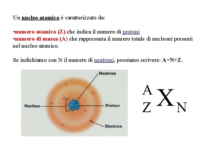 Un nucleo atomico è caratterizzato da: • numero atomico (Z) che indica il numero
