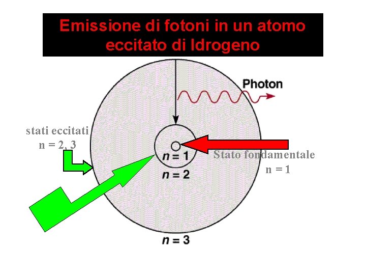 Emissione di fotoni in un atomo eccitato di Idrogeno n = numero quantico principale