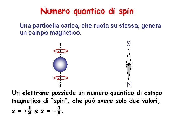 Numero quantico di spin Una particella carica, che ruota su stessa, genera un campo