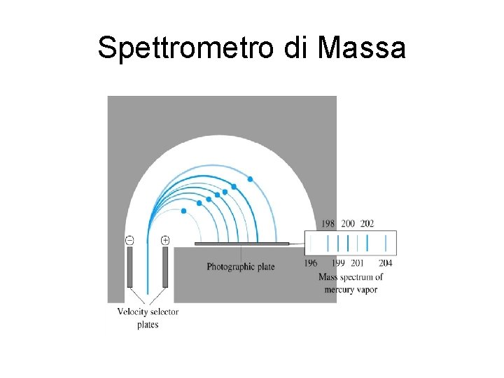 Spettrometro di Massa 