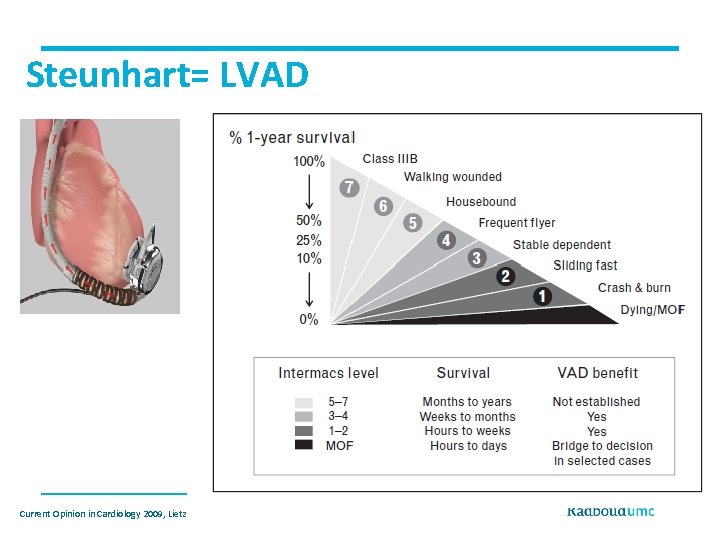 Steunhart= LVAD Current Opinion in Cardiology 2009, Lietz 