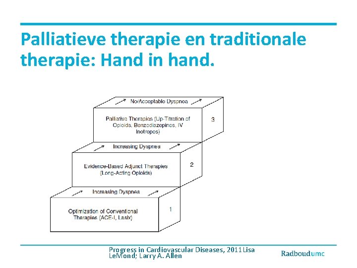 Palliatieve therapie en traditionale therapie: Hand in hand. Progress in Cardiovascular Diseases, 2011 Lisa