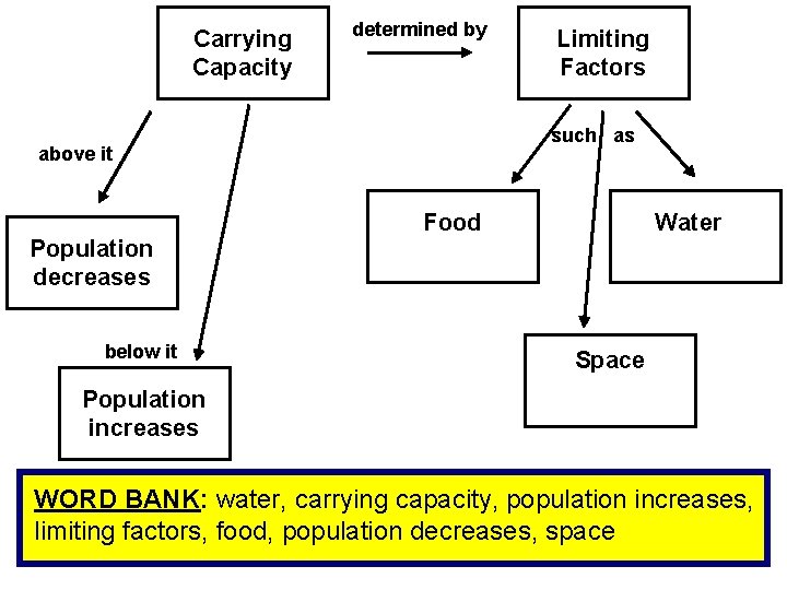 Carrying Capacity determined by such as above it Population decreases below it Limiting Factors