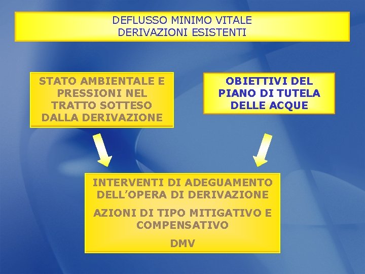 DEFLUSSO MINIMO VITALE DERIVAZIONI ESISTENTI OBIETTIVI DEL PIANO DI TUTELA DELLE ACQUE STATO AMBIENTALE