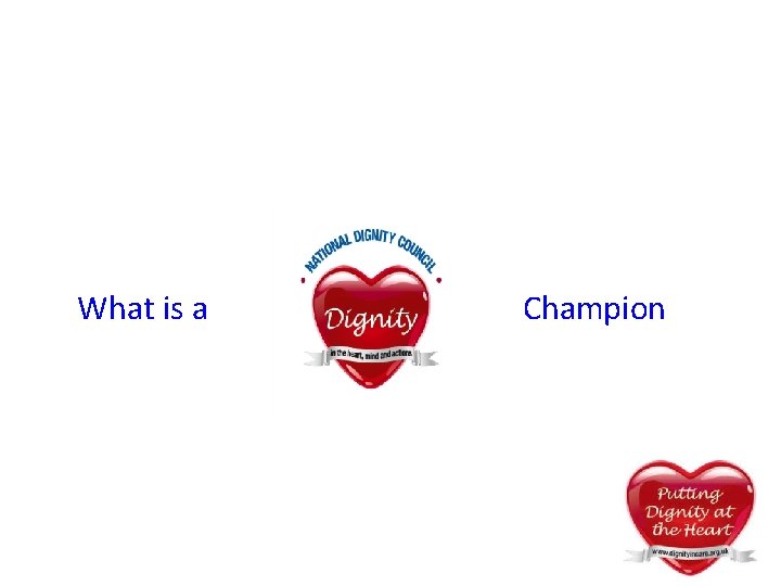 What is a Champion What is a Champion