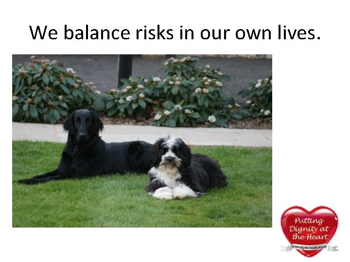 We balance risks in our own lives. We balance risks in our own lives.