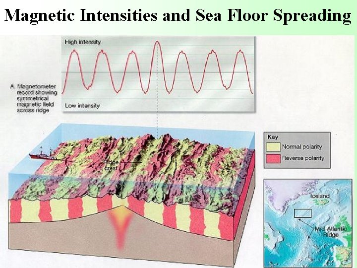 Magnetic Intensities and Sea Floor Spreading 