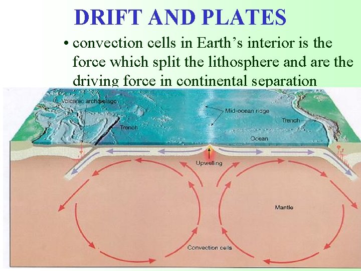 DRIFT AND PLATES • convection cells in Earth’s interior is the force which split