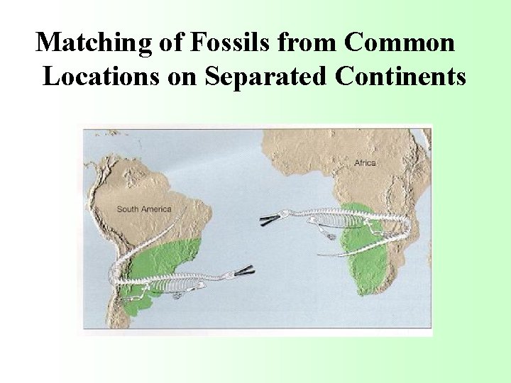 Matching of Fossils from Common Locations on Separated Continents 