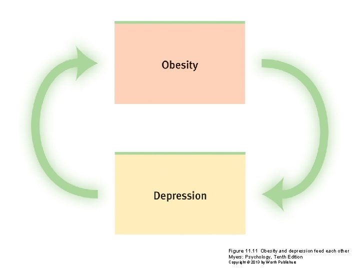 Figure 11. 11 Obesity and depression feed each other Myers: Psychology, Tenth Edition Copyright