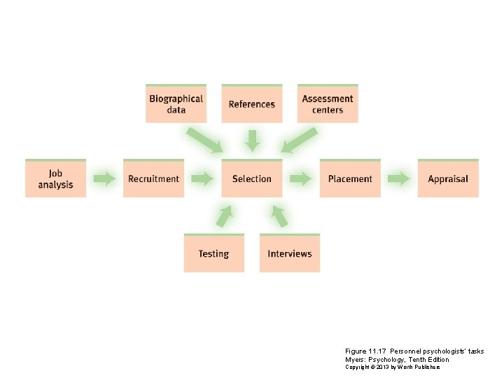 Figure 11. 17 Personnel psychologists’ tasks Myers: Psychology, Tenth Edition Copyright © 2013 by