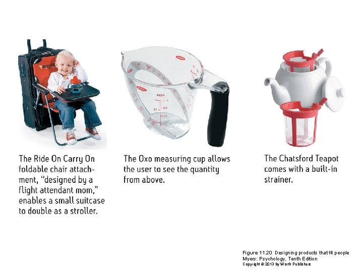 Figure 11. 20 Designing products that fit people Myers: Psychology, Tenth Edition Copyright ©