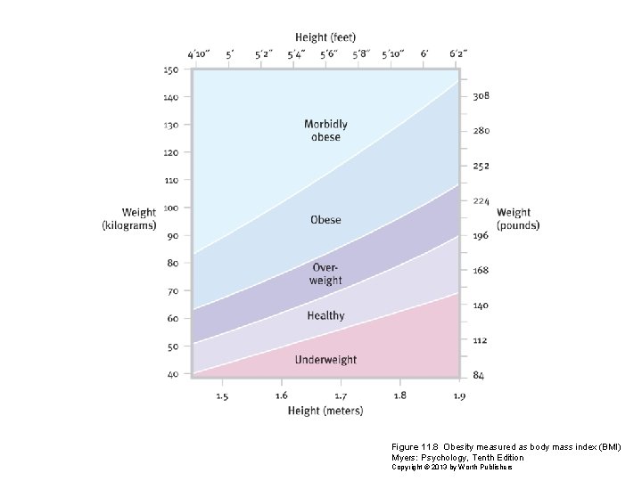 Figure 11. 8 Obesity measured as body mass index (BMI) Myers: Psychology, Tenth Edition