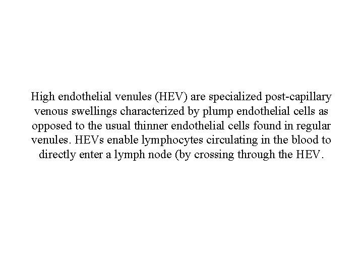 High endothelial venules (HEV) are specialized post-capillary venous swellings characterized by plump endothelial cells