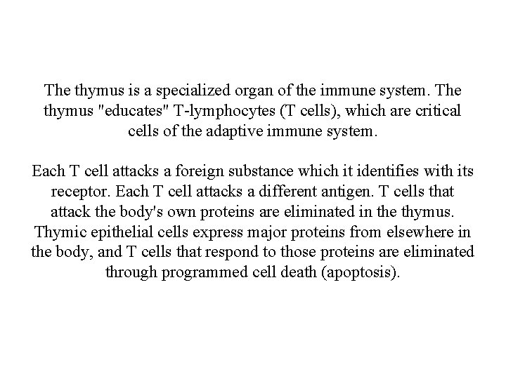 The thymus is a specialized organ of the immune system. The thymus "educates" T-lymphocytes