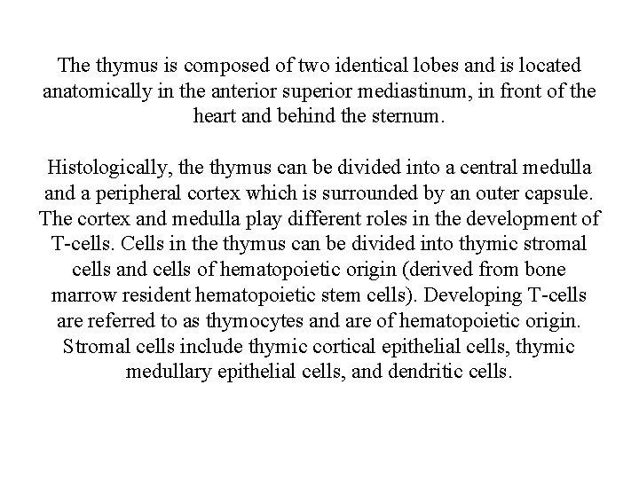 The thymus is composed of two identical lobes and is located anatomically in the