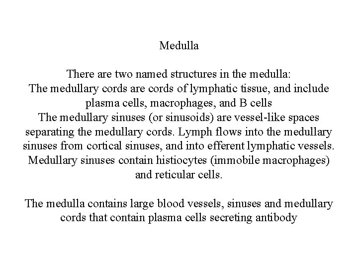 Medulla There are two named structures in the medulla: The medullary cords are cords