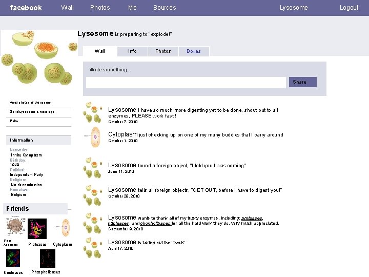 facebook Wall Photos Me Sources Lysosome is preparing to “explode!” Wall Info Photos Boxes