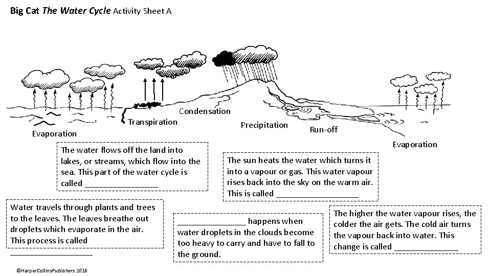 Big Cat The Water Cycle Activity Sheet A Transpiration Condensation Evaporation The water flows