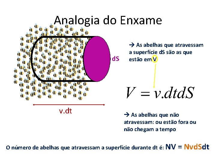 Analogia do Enxame d. S v. dt As abelhas que atravessam a superfície d.