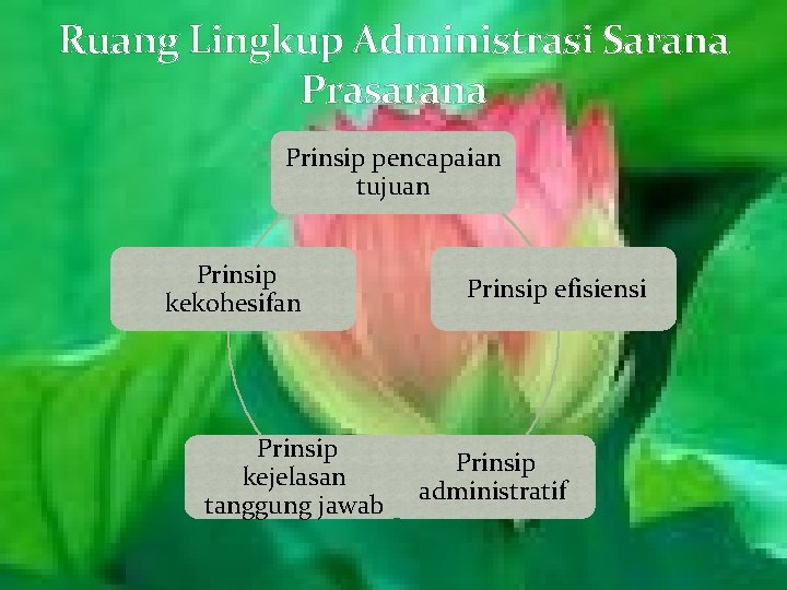 Ruang Lingkup Administrasi Sarana Prasarana Prinsip pencapaian tujuan Prinsip kekohesifan Prinsip kejelasan tanggung jawab