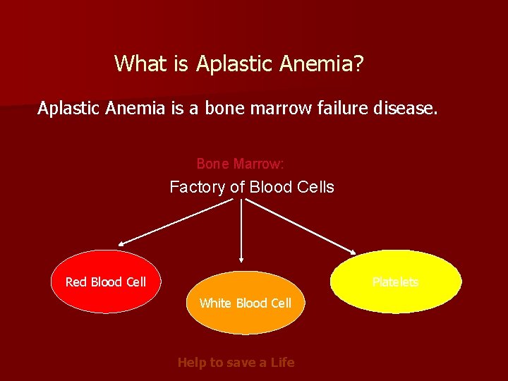 What is Aplastic Anemia? Aplastic Anemia is a bone marrow failure disease. Bone Marrow:
