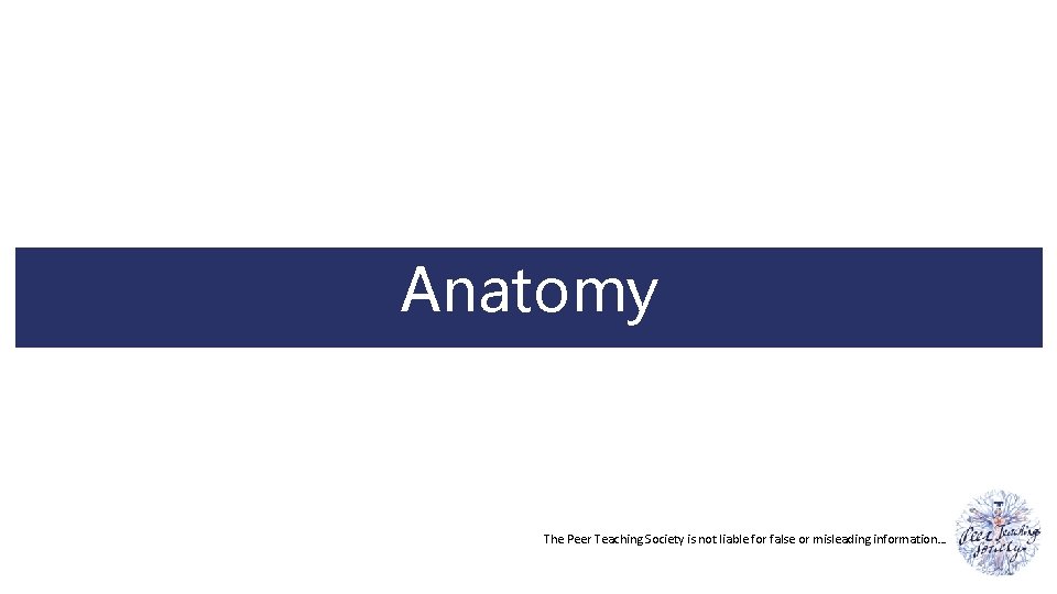 Anatomy The Peer Teaching Society is not liable for false or misleading information… 