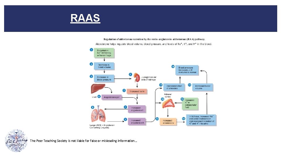 RAAS The Peer Teaching Society is not liable for false or misleading information… 