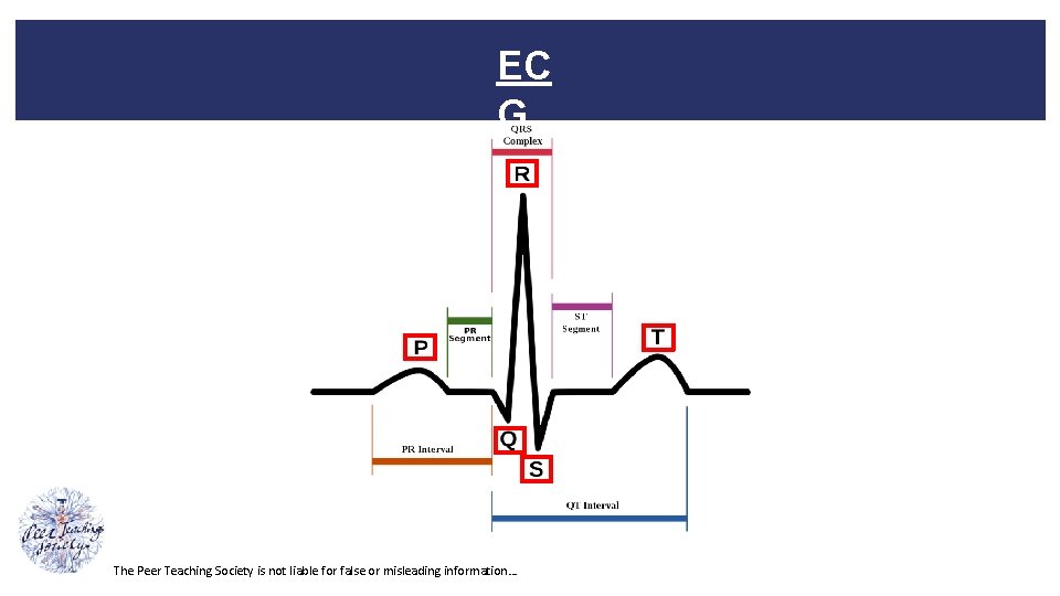 EC G The Peer Teaching Society is not liable for false or misleading information…