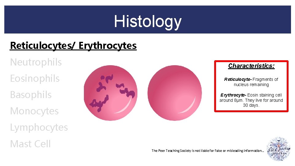Histology Reticulocytes/ Erythrocytes Neutrophils Eosinophils Basophils Monocytes Characteristics: Reticulocyte- Fragments of nucleus remaining Erythrocyte-