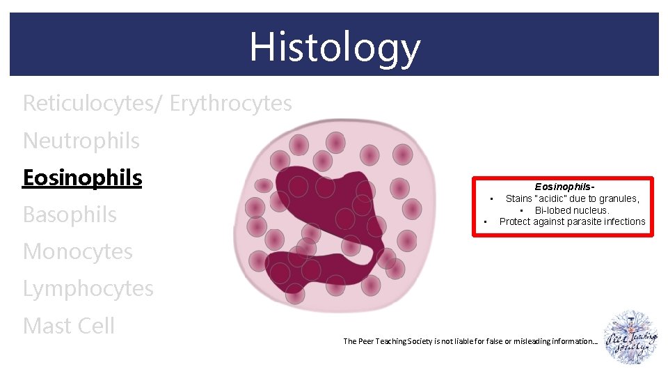 Histology Reticulocytes/ Erythrocytes Neutrophils Eosinophils Basophils Eosinophils • Stains “acidic” due to granules, •
