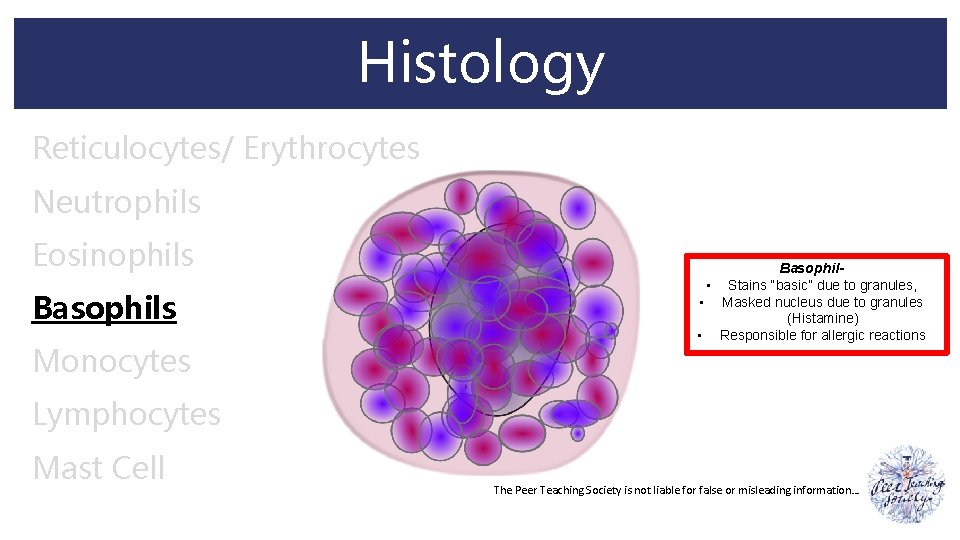 Histology Reticulocytes/ Erythrocytes Neutrophils Eosinophils Basophils Monocytes Basophil • Stains “basic” due to granules,