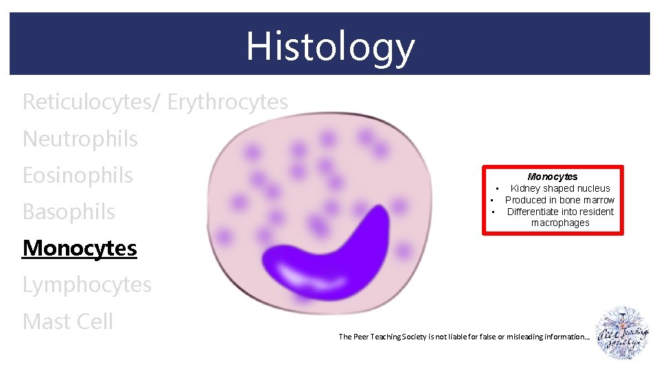 Histology Reticulocytes/ Erythrocytes Neutrophils Eosinophils Basophils Monocytes • Kidney shaped nucleus • Produced in