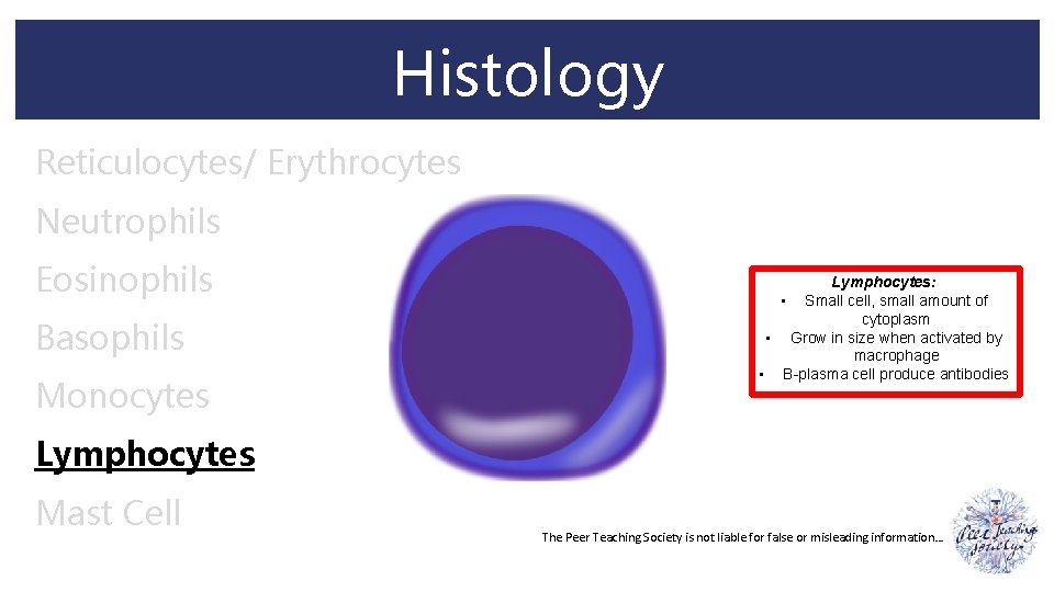 Histology Reticulocytes/ Erythrocytes Neutrophils Eosinophils Basophils Monocytes Lymphocytes: • Small cell, small amount of